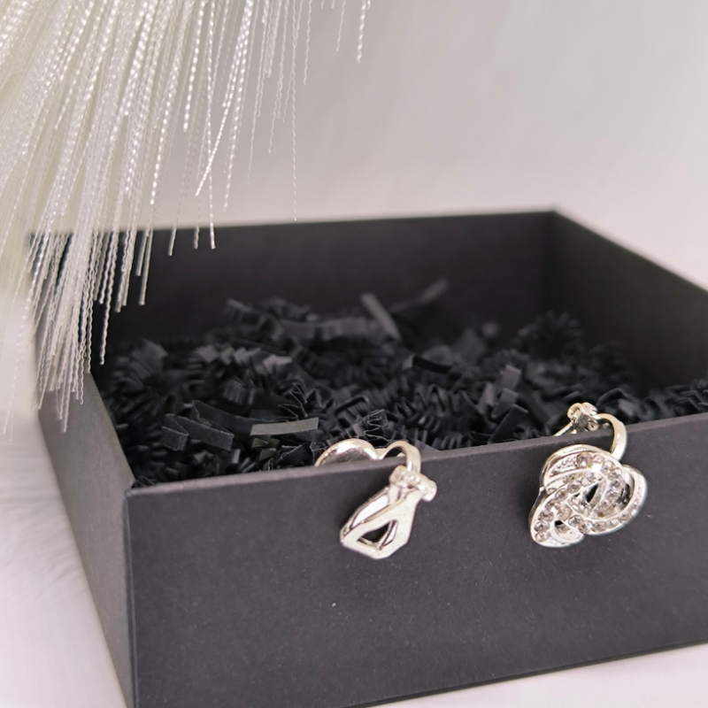 Mirdzoši sudraba krāsas klipši