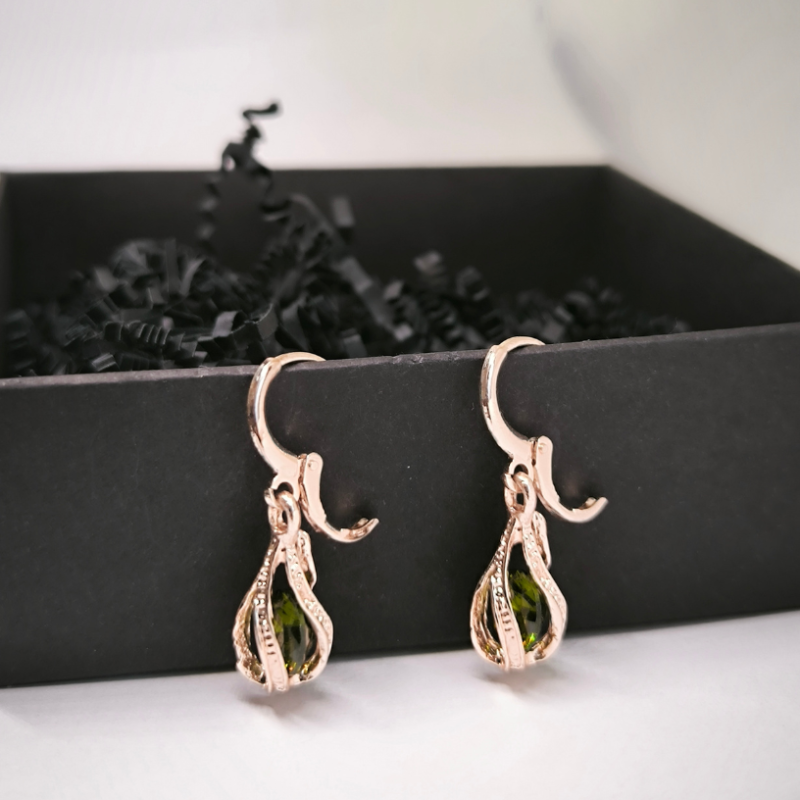 Pilienveida elegantiškas auskari