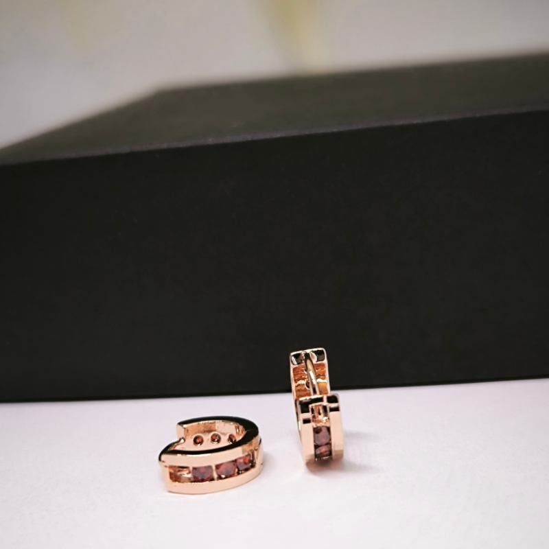 Gredzena formas auskari ar cirkoniju