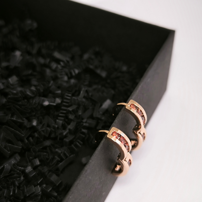 Gredzena formas auskari ar cirkoniju