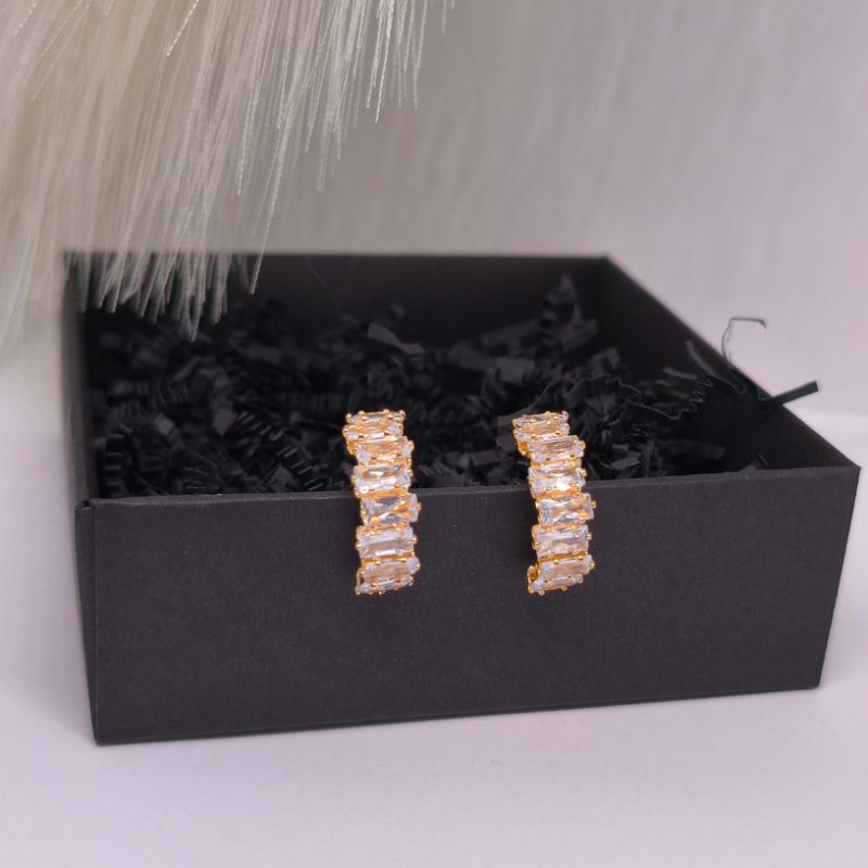 Auskari - klipši "Greznība"