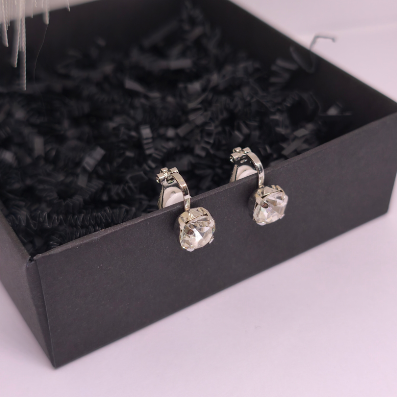 Auskari - klipši "Caurspīdīgā klasika"