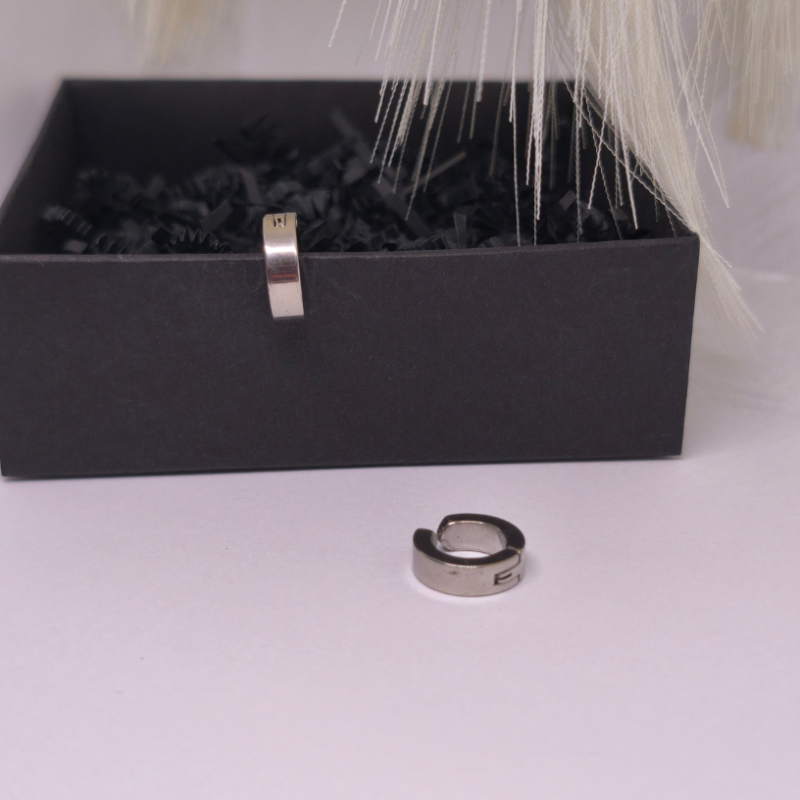 Klipsi „Sudraba akcents“