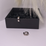 Klipsi „Sudraba akcents“