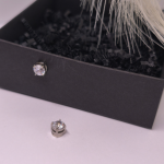 Magnētiskās auskari „Mirklis gaisma“