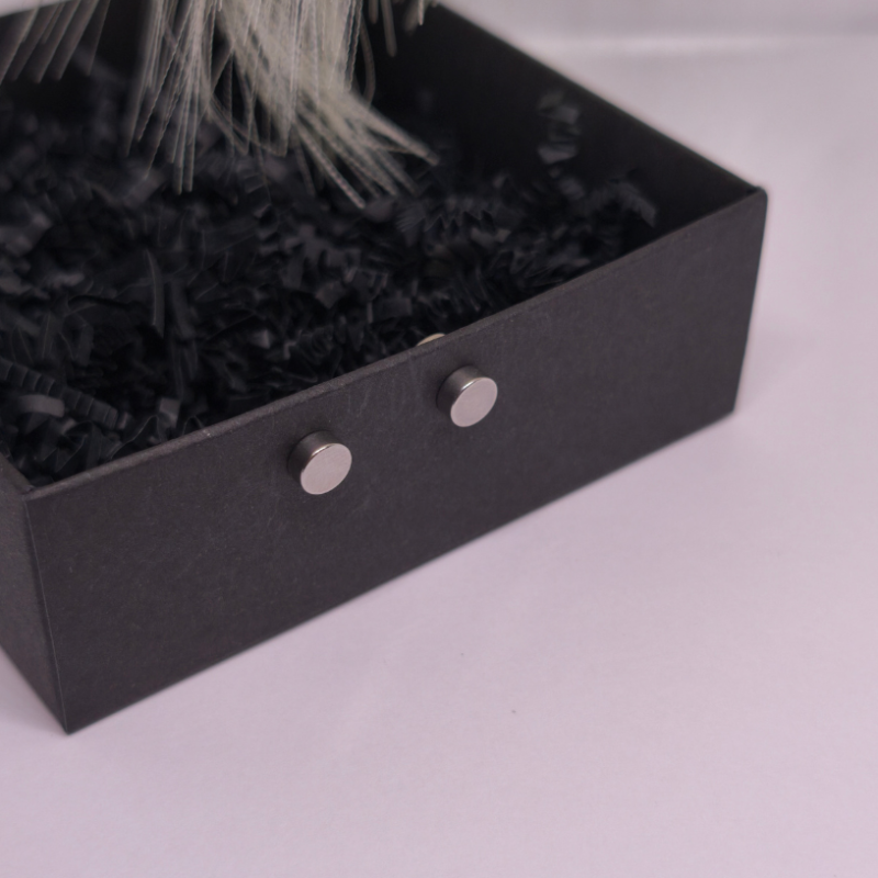 Magnētiskās auskari „Tērauda punkts“