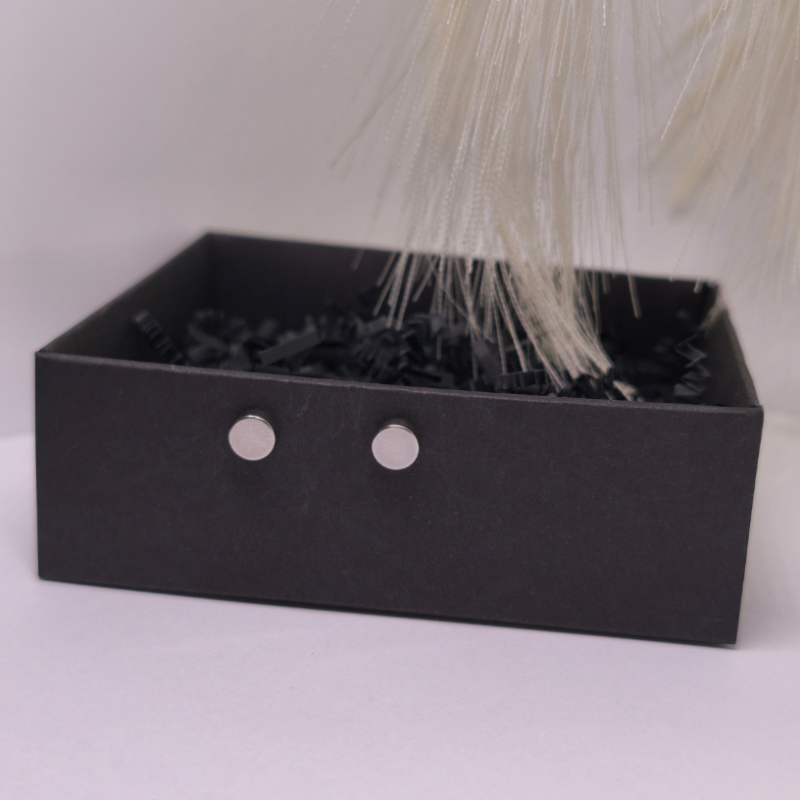 Magnētiskās auskari „Tērauda punkts“