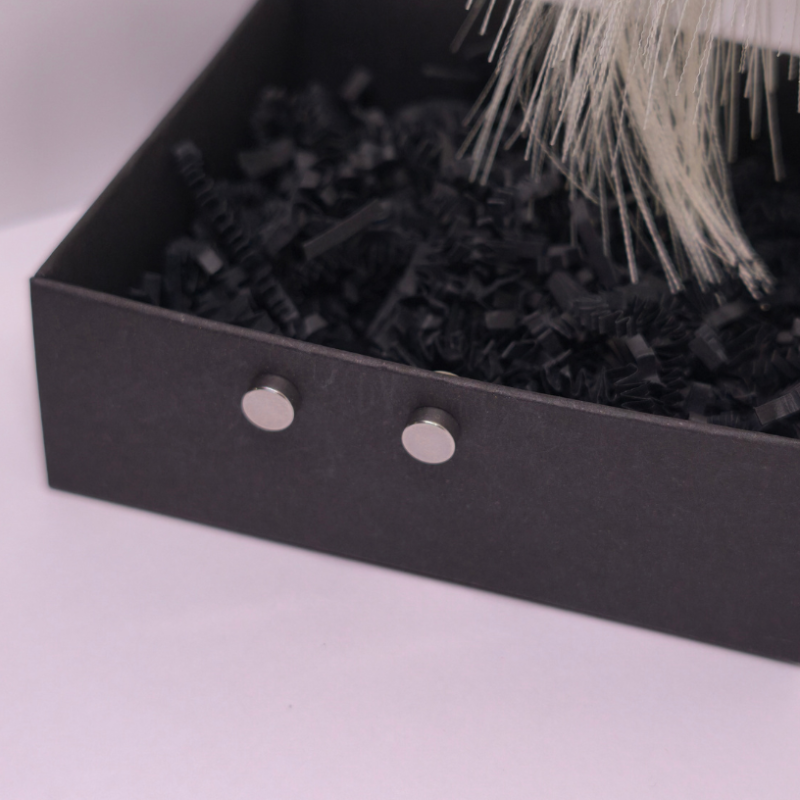 Magnētiskās auskari „Tērauda punkts“