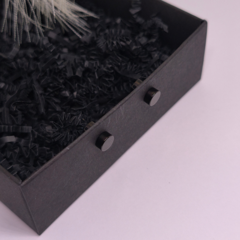 Magnētiskās auskari „Melnais klusums“