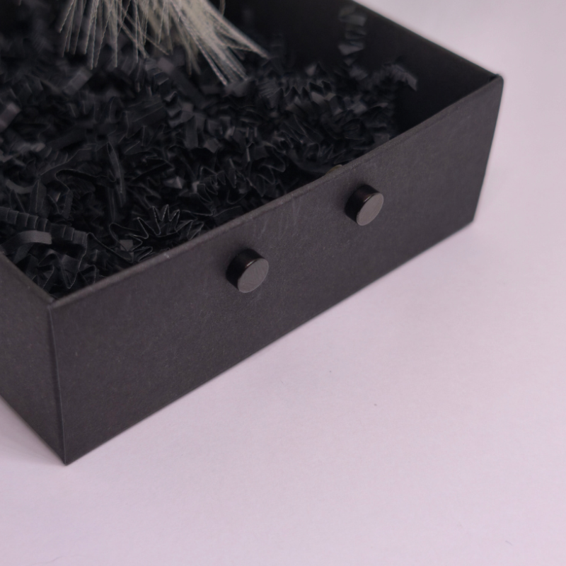 Magnētiskās auskari „Melnais klusums“