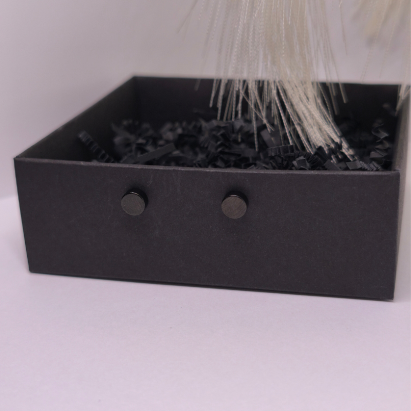 Magnētiskās auskari „Melnais klusums“