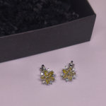 Auskari - klipši „Saulainā elegance“