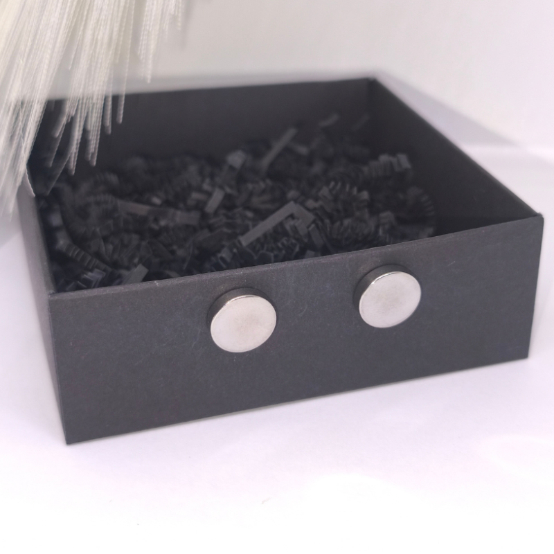 Lieli magnētiskie auskari „Moderna klasika“