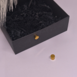 Magnētiskās auskari „Zelta punkts“