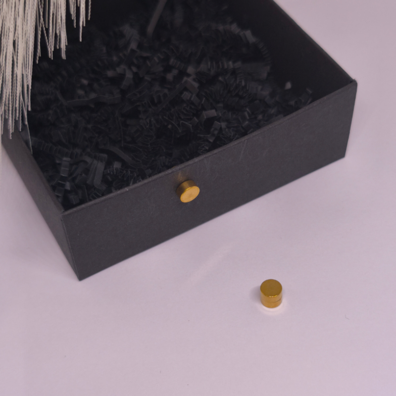 Magnētiskās auskari „Zelta punkts“