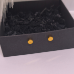 Magnētiskās auskari „Zelta punkts“