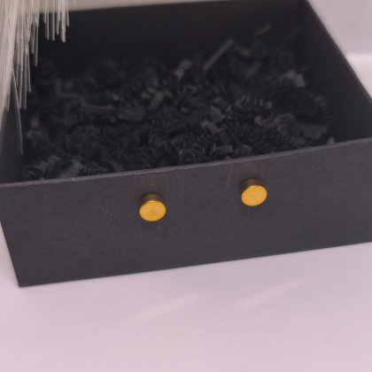 Magnētiskās auskari „Zelta punkts“