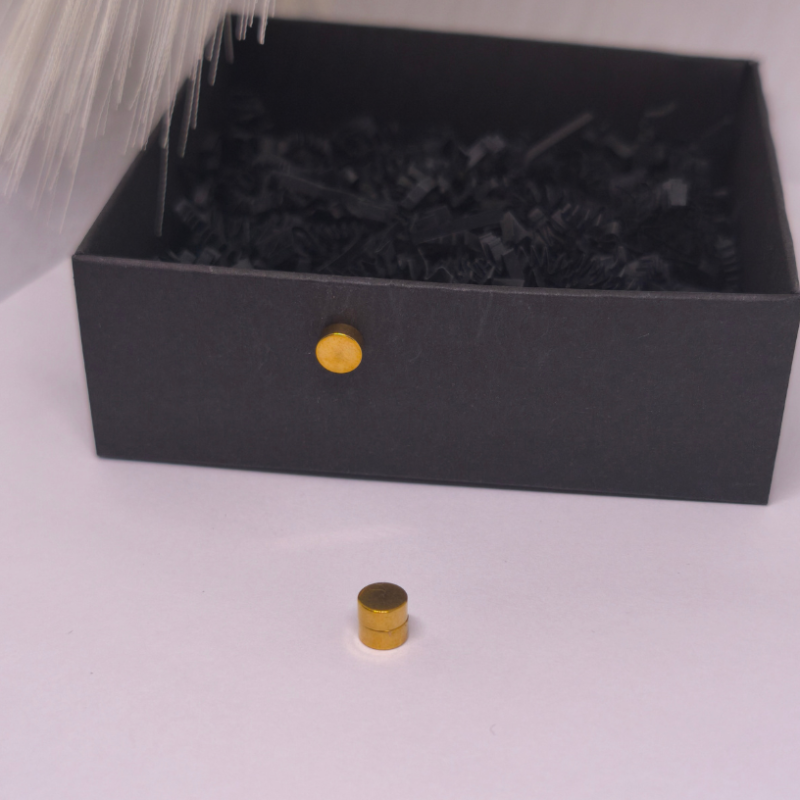 Magnētiskās auskari „Zelta punkts“