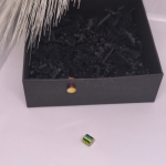 Magnētiskās auskari „Hologrāfiskais klusums“