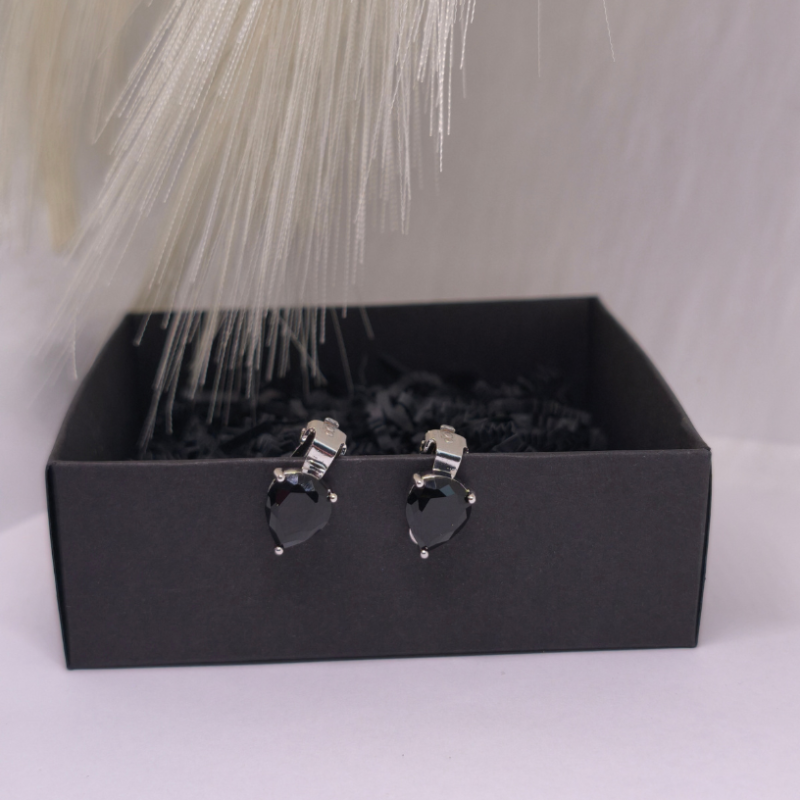 Auskari - klipši "Pilieni"