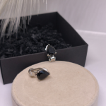 Auskari - klipši "Pilieni"