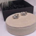 Auskari – klipši „Gaismas piliens“