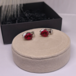 Auskari – klipši „Sarkanās lāsītes“