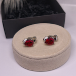 Auskari – klipši „Sarkanās lāsītes“