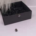 Melni magnētiskie auskari