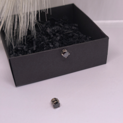 Melni magnētiskie auskari