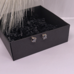 Melni magnētiskie auskari