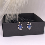 Auskari – klipši „Okeāna sargs“