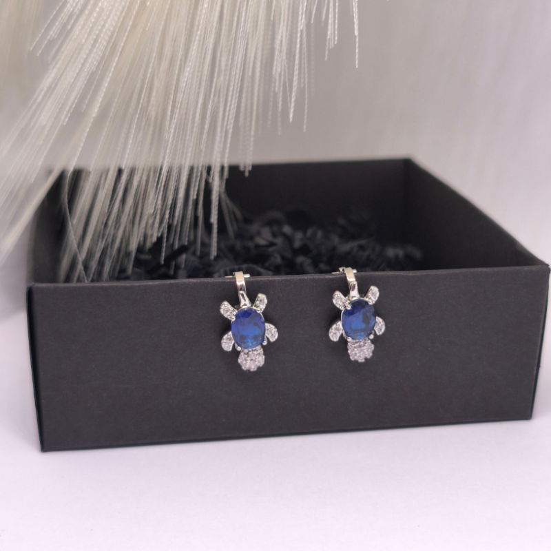 Auskari – klipši „Okeāna sargs“