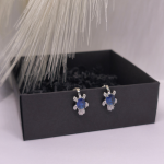 Auskari – klipši „Okeāna sargs“