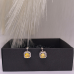 Auskari – klipši „Saules kronis“