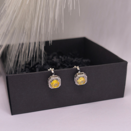 Auskari – klipši „Saules kronis“