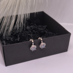 Auskari – klipši „Ziemeļblāzma“