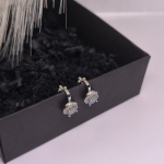 Auskari – klipši „Ziemeļblāzma“